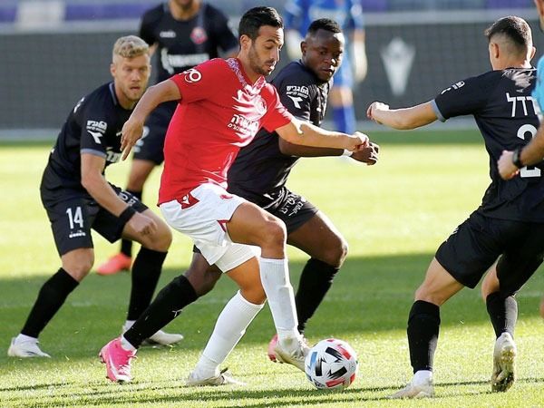 (צילום: אלן שיבר)