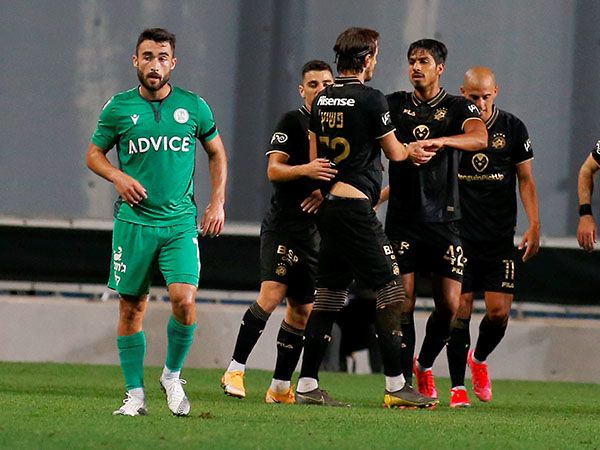 חגיגה אחת הספיקה (אלן שיבר)