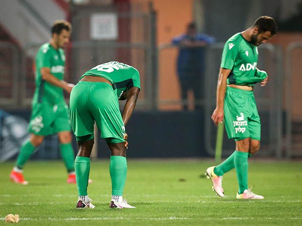 (צילום: מאור אלקסלסי)