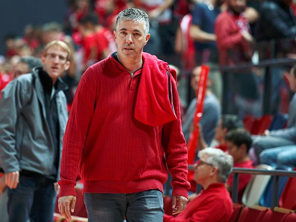 רמי כהן לא יעמוד בדרכו של מדר (אלן שיבר)