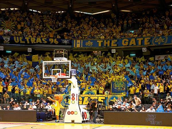 "מצפה להיכל מלא" (שיבר)