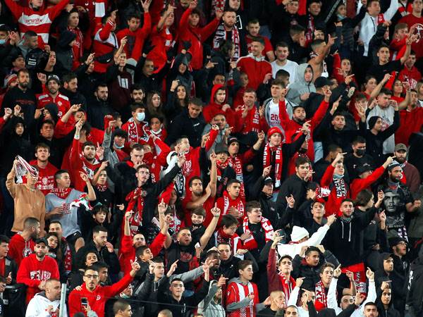 (צילום: אלן שיבר)