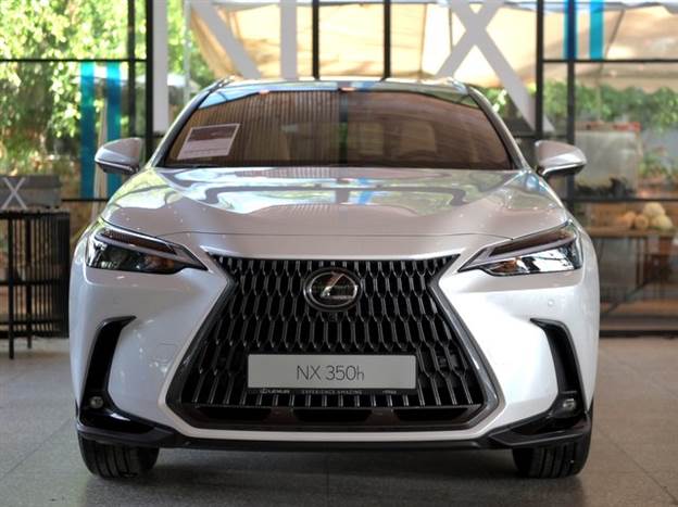 (צילום: בני דויטש)