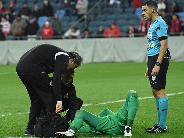 מדאיג (ברני ארדוב)