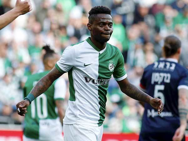 מאוויס צ'יבוטה. יפתח בטדי? (אלן שיבר)