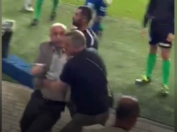 (ברני ארדוב)