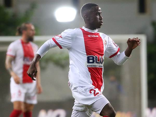 (ברני ארדוב)