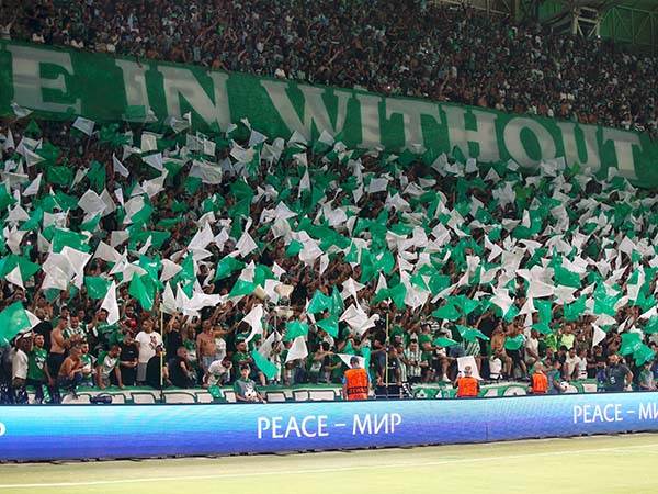 בכוכב התרשמו מהקהל הירוק, אבל מצפים להצגה מפוארת יותר בגומלין (צילום: אלן שיבר)