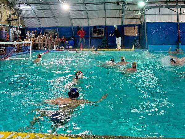 קרדיט: איגוד הכדורמים