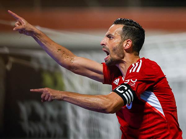 (צילום: אלן שיבר)