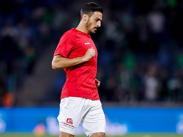 (מאור אלקסלסי)