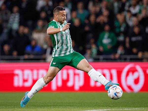 סבע. מהמשתכרים הגבוהים (מאור אלקסלסי)