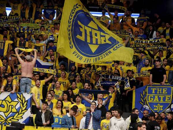 הקהל הצהוב. נהנה מניצחון ביתי נוסף (אלן שיבר)