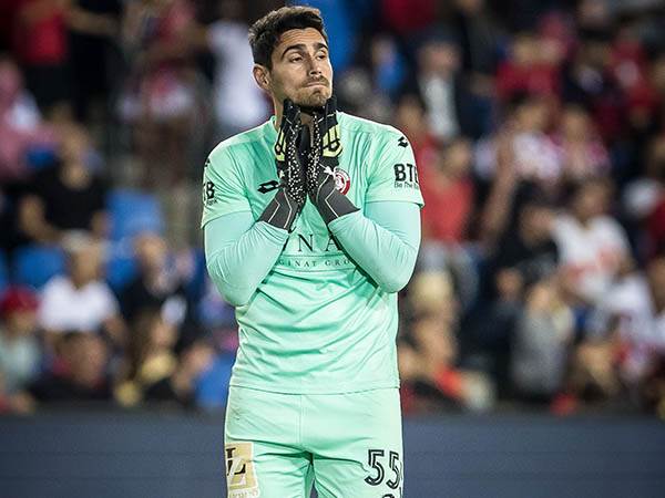 יעלה עם זריקות? לבקוביץ' (עודד קרני)