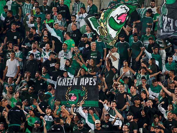 רבבות צפויים להגיע ללא כרטיס (אלן שיבר)