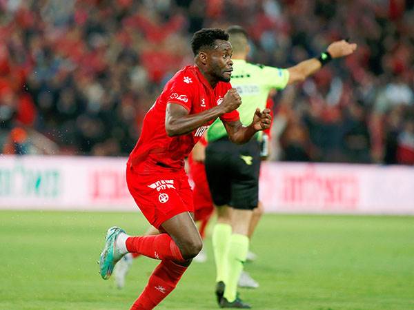 הכל פתוח (אלן שיבר)