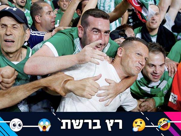 (צילום: אלן שיבר)