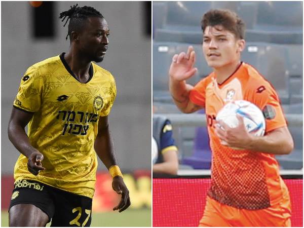 בדרך לטרייד מסקרן (אלן שיבר וברני ארדוב)