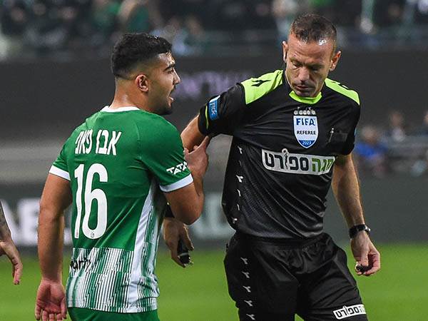 ממעט לספוג צהובים (ברני ארדוב)