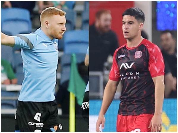 (צילום: אלן שיבר)