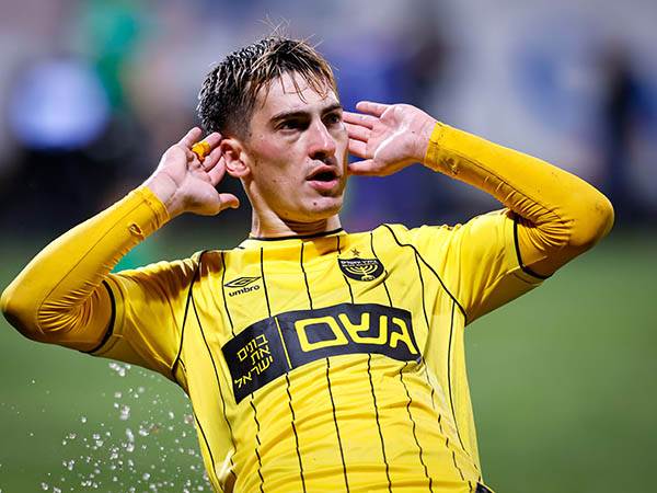 בדרך החוצה. ניקולסקו (אלן שיבר)