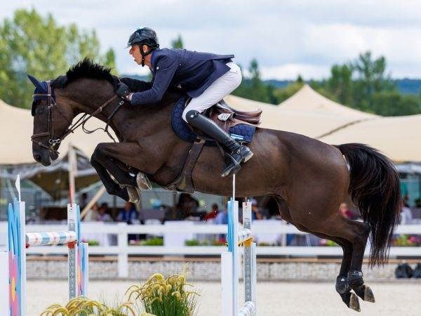 כבוד (תומס הולצבכר)