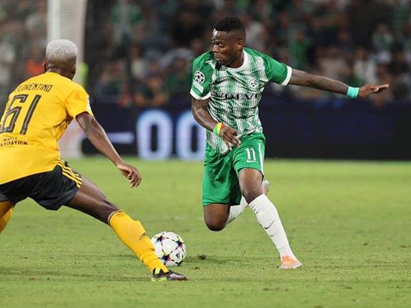 חלם לשתף איתו פעולה. צ'יבוטה (GETTY)