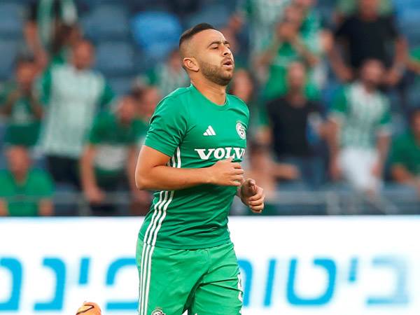 סעיף יציאה לקיץ הנוכחי בלבד. סבע (אלן שיבר)