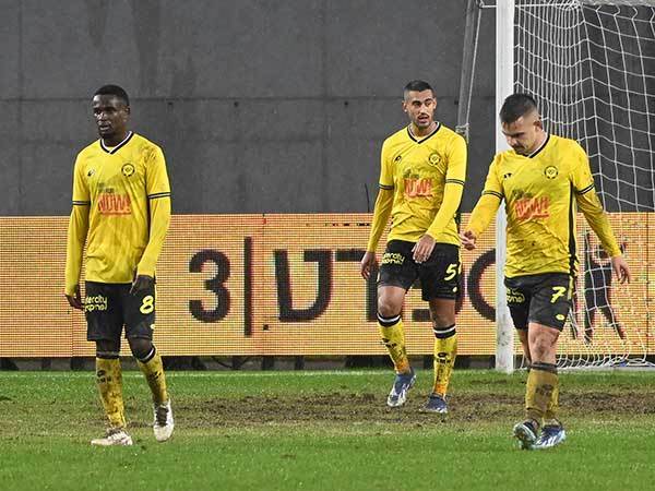 (ברני ארדוב)