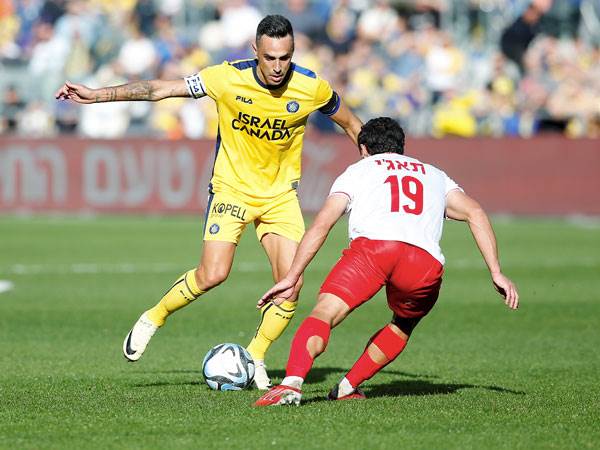 אולי במשחק הבא (אלן שיבר)