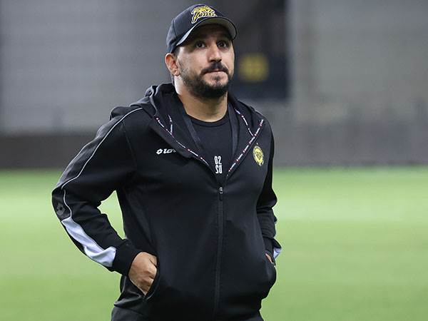 אלמוג כהן. מתחיל פרק חדש בקריירה (ברני ארדוב)