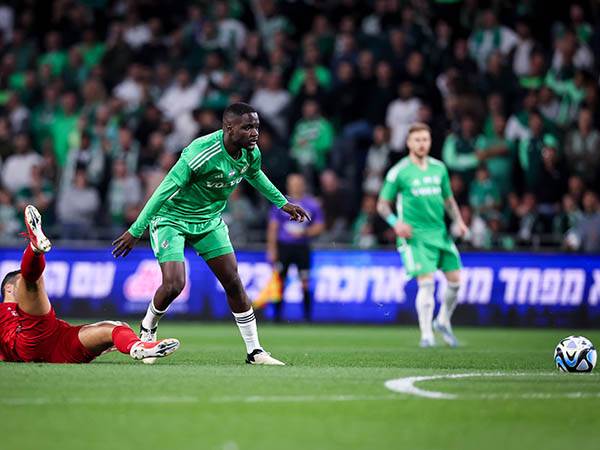 "כל מה שעבדנו עליו לא הגיע היום" (מאור אלקסלסי)