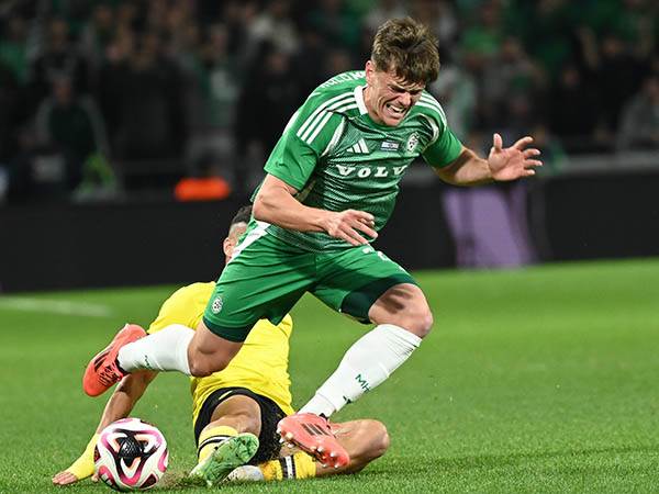 פיינגולד. מה עם מחליף? (ברני ארדוב)