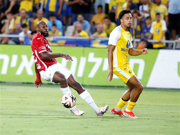 צמודות צמודות (אלן שיבר)