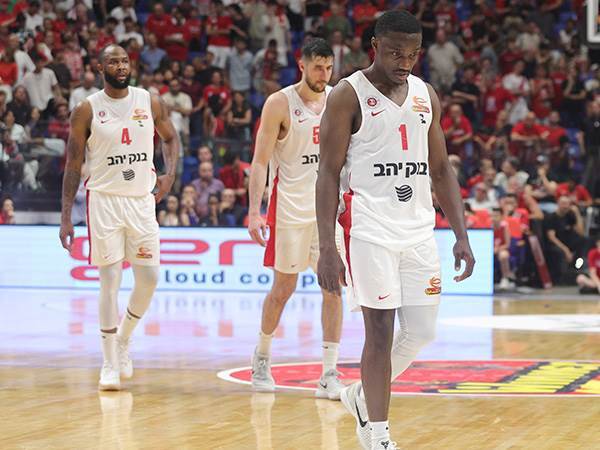 (צילום: אלן שיבר)