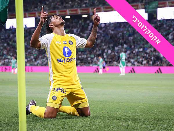 (מאור אלקסלסי)