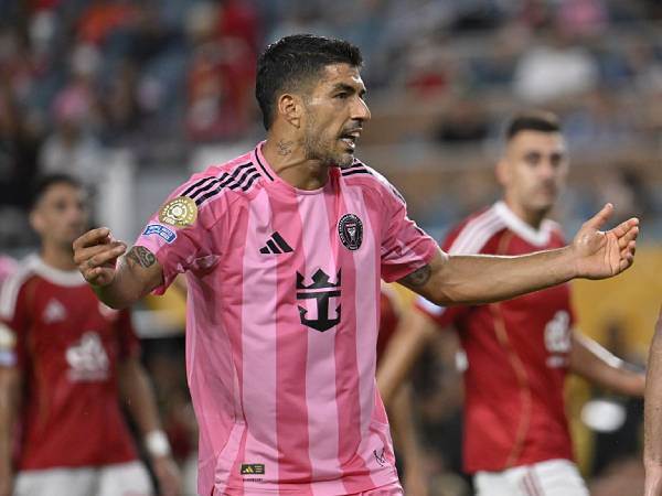 הכוכבים היו על הדשא (GETTY)