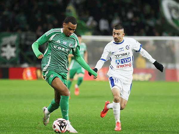 (צילום: קובי אליהו)