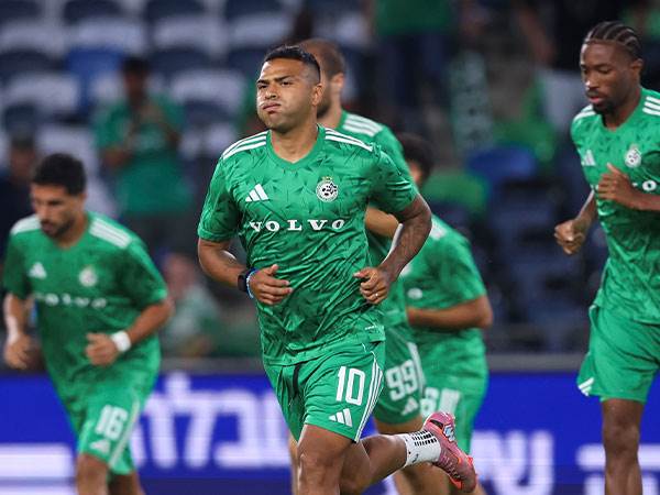 (מאור אלקסלסי)