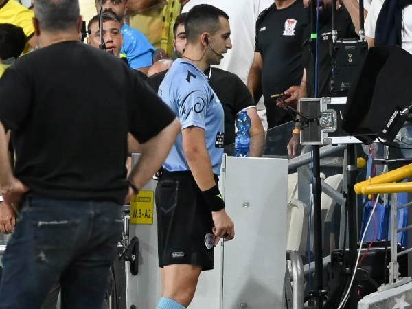 (ברני ארדוב)