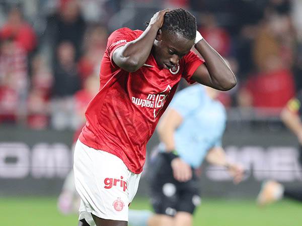 (צילום: אלן שיבר)