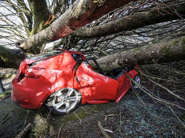 כוח עליון או רשלנות? ומי משלם על הנזק?