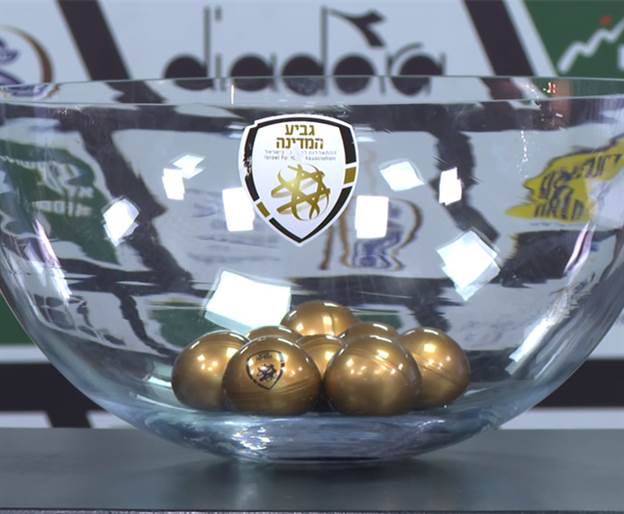 (צילום: אלן שיבר)