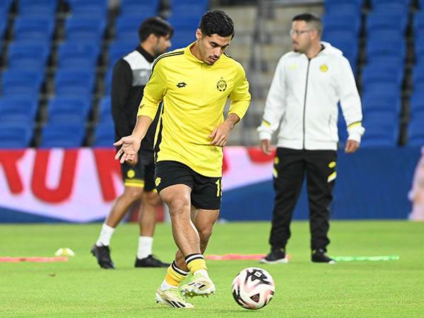 (ברני ארדוב)