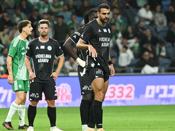 (ברני ארדוב)