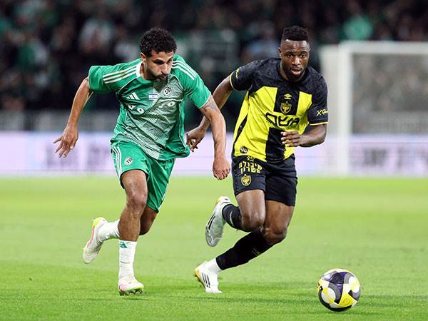 (צילום: אלן שיבר)