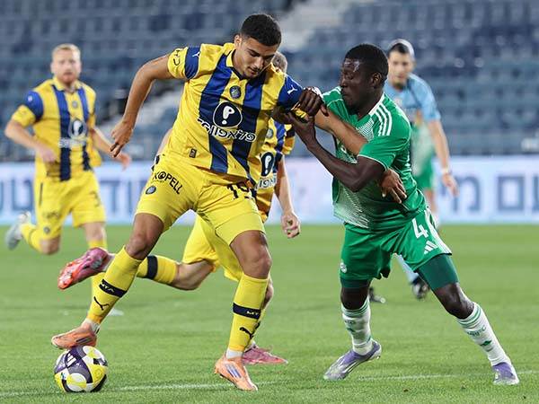 זרח על הדשא. מדמון (דני מרון)