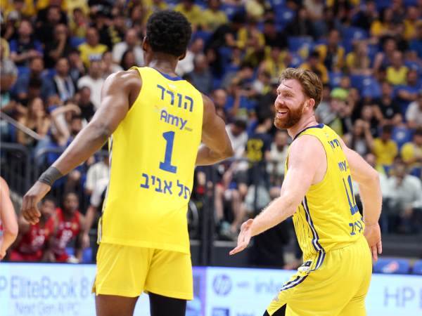 (אלן שיבר)
