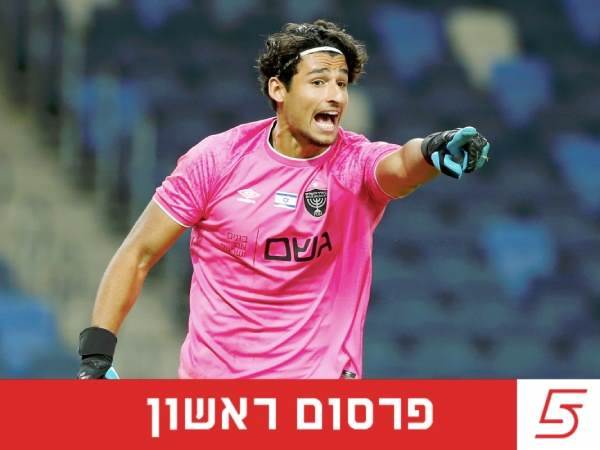 (אלן שיבר)