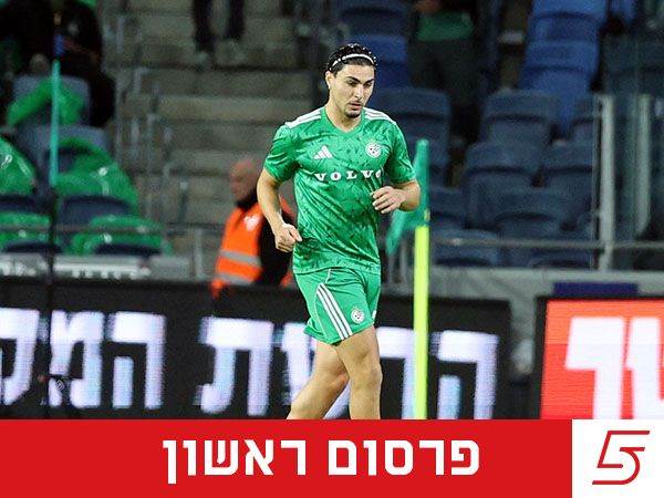 (אלן שיבר)